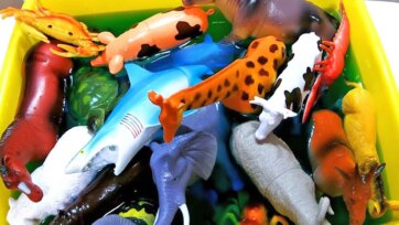 Colorful Animal Bath Time Adventure with Toy Sea and Jungle Friends for Kids
