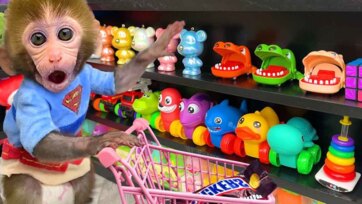 Funny Monkey Toy Shopping Adventure with Colorful Kids Toys