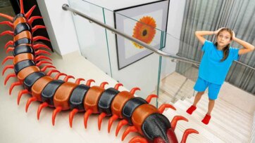 Kids Play with Remote Control Centipede Toy - Crawling Fun Adventure