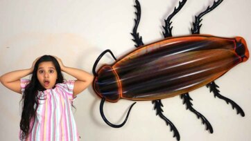 Remote Control Cockroach Toy Adventure for Kids Fun Indoor Playtime